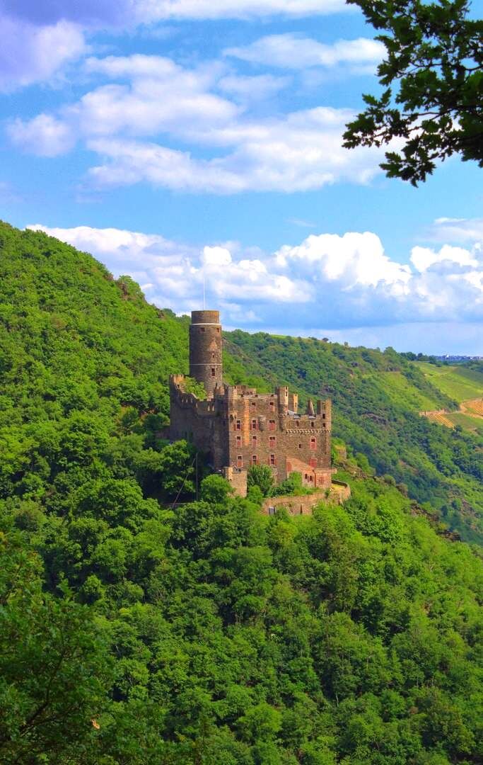 Замок Маус, Германия. Источник: Яндекс картинки