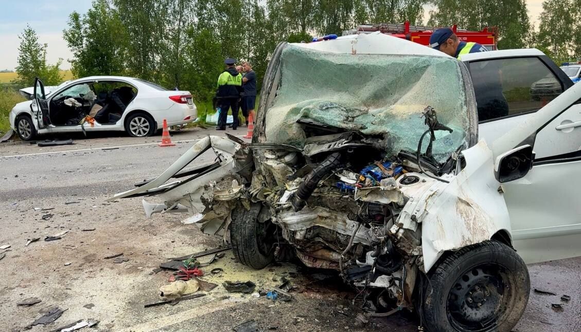     / Источник: Госавтоинспекция Пензенской области