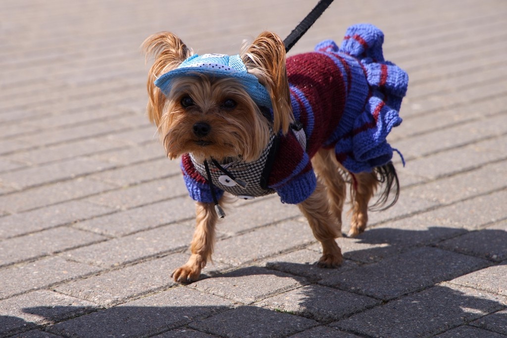    Фото © Анастасия Романова / Абзац