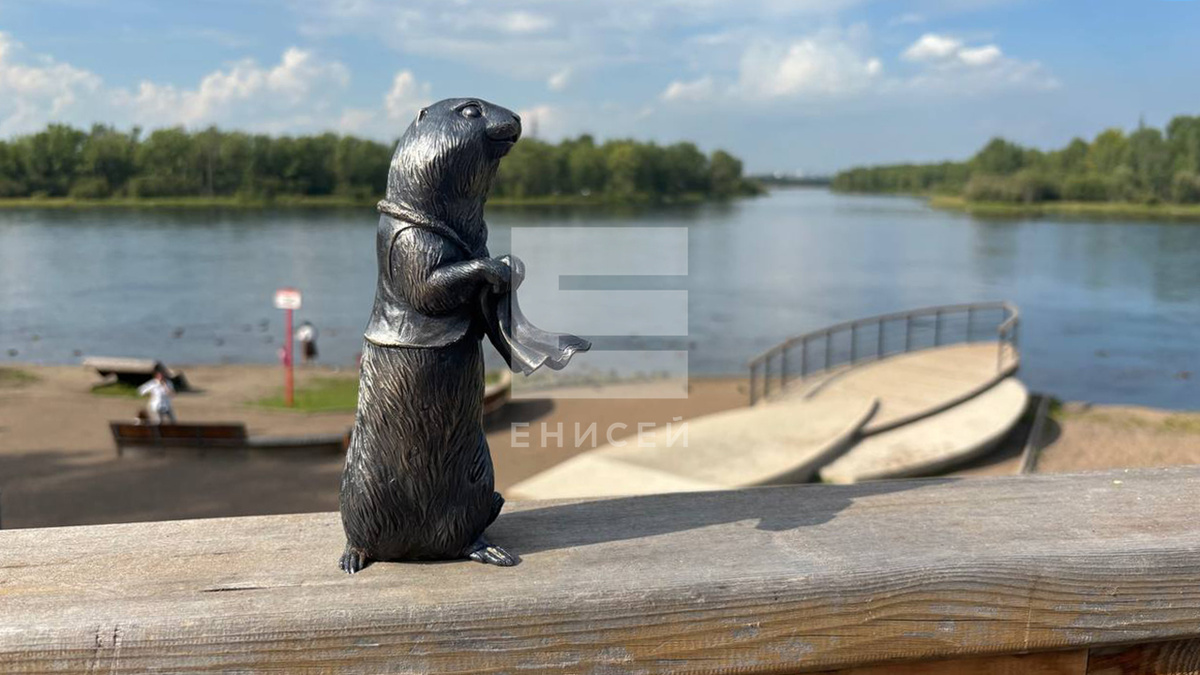     Суслик-казачка появилась на еще одной красноярской набережной