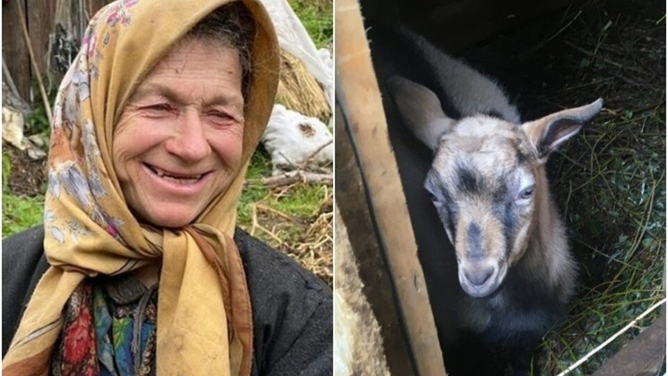 АГАФЬЯ ЛЫКОВА: СПАСЕНИЕ КОЗЛЁНКА