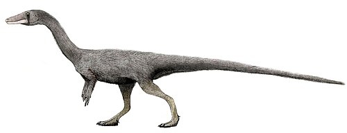 Гипотетическая реконструкция.