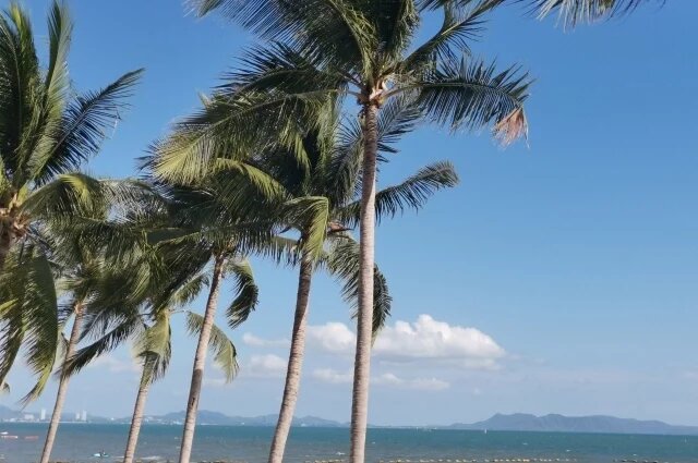    Выгодно ли брать отпуск в августе?