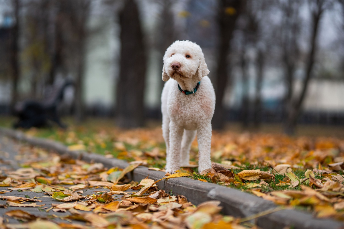 Фото: Александр Плонский / ВиЖ