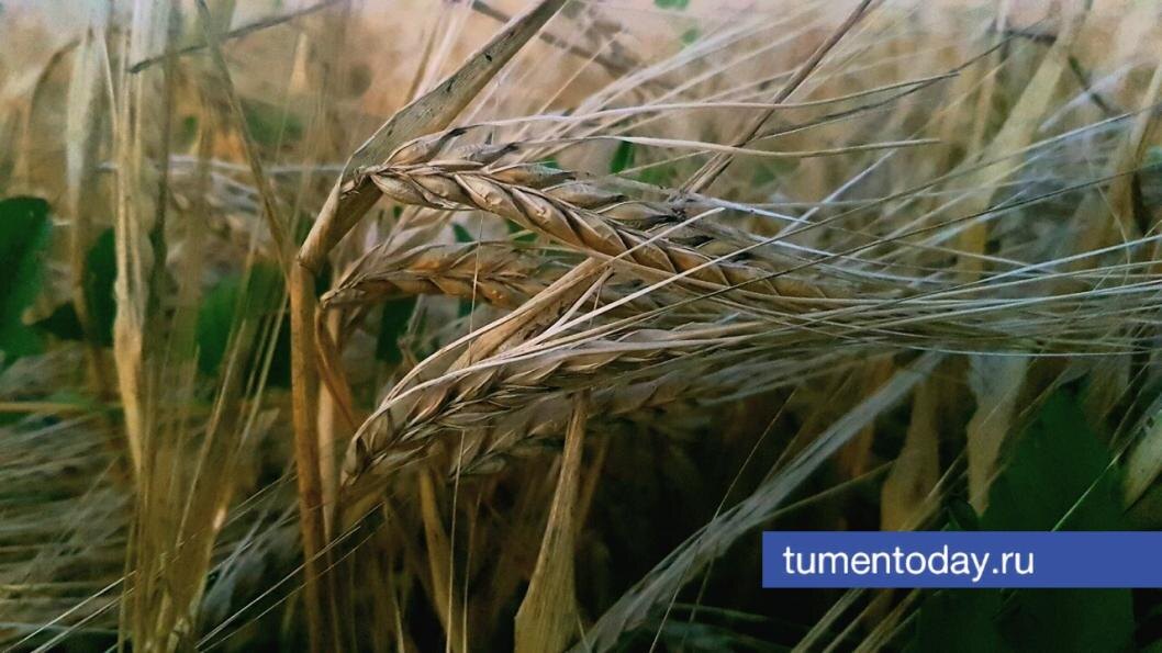  Фото Елены Ковалевой