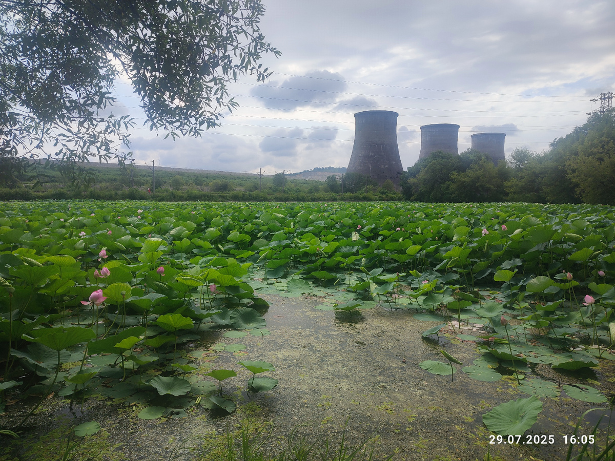Озеро Карасиное. Фото автора.