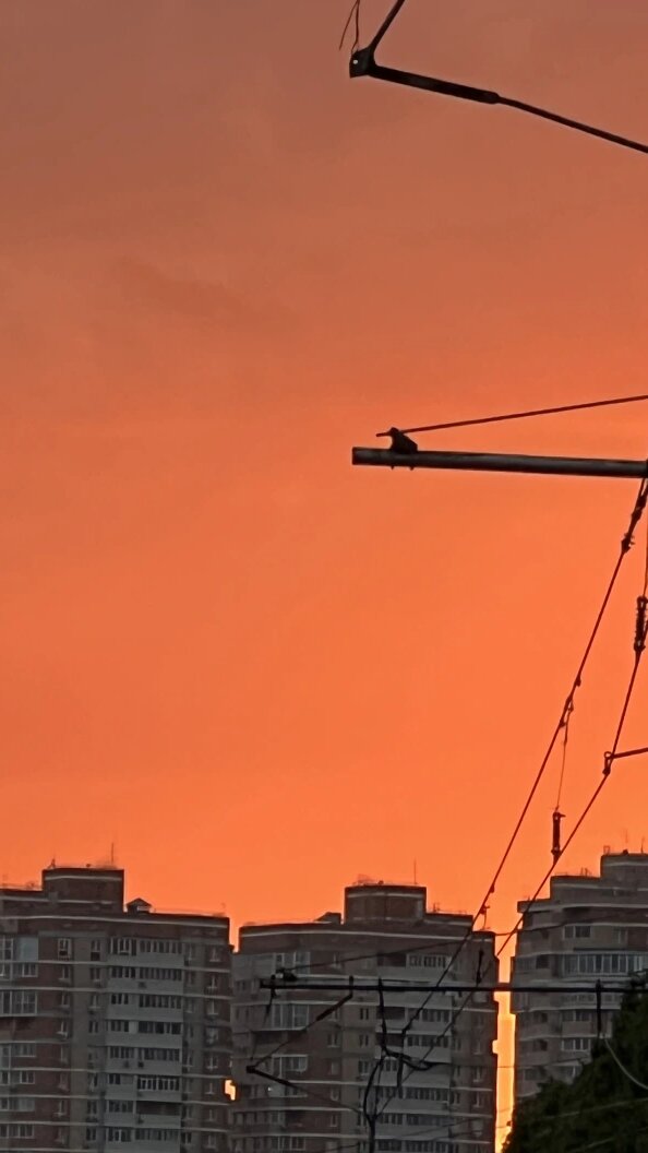    Фото: Царьград