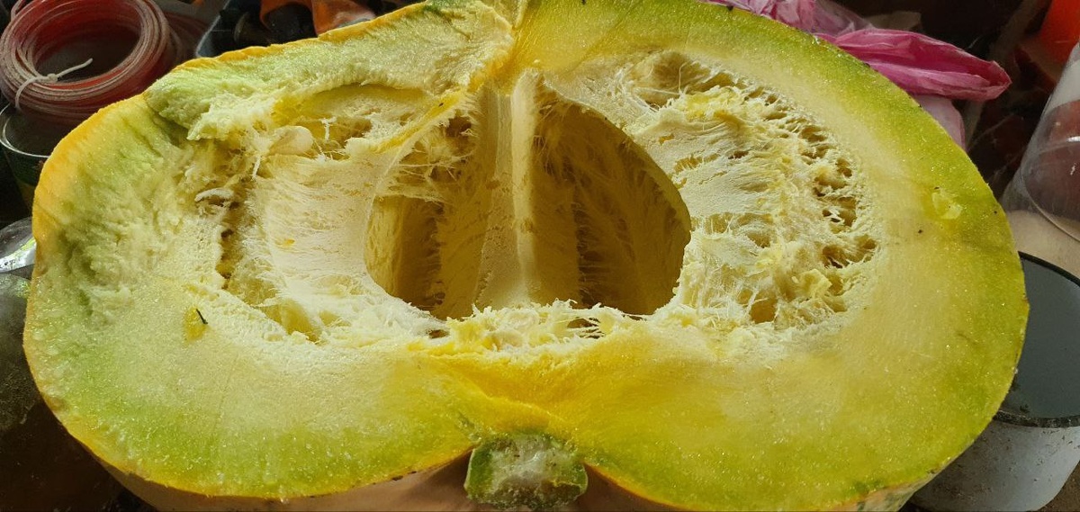 Молодая тыква обладает мягкими семечками и мякотью, поэтому куры с лёгкостью её поедают