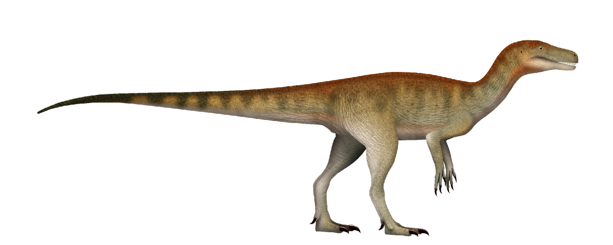 Ещё одна пнг иллюстрация.