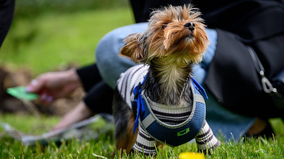    Фото: Дмитрий Дубинский / Вечерняя Москва