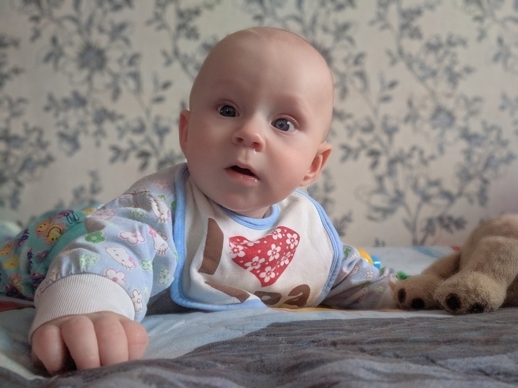     Фото: МК в Вологде.