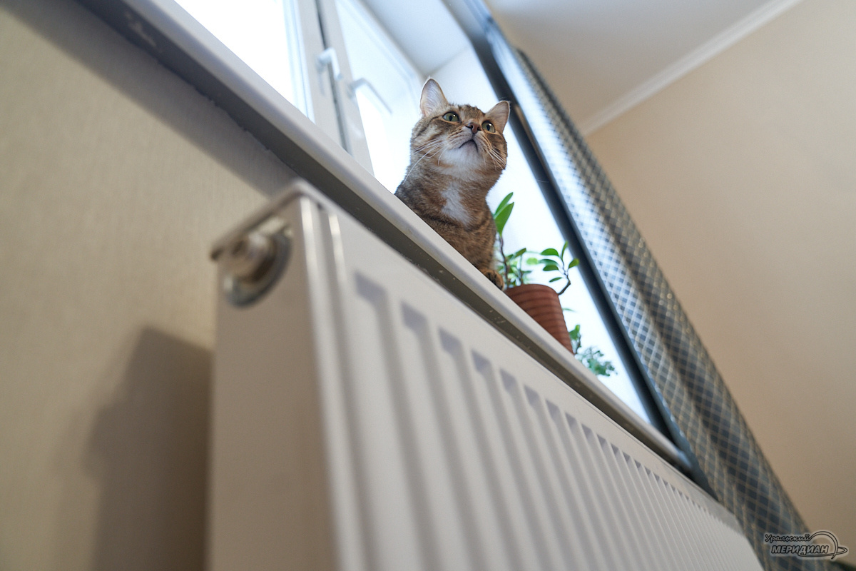    Фото: Лидия Аникина © ИА «Уральский меридиан»