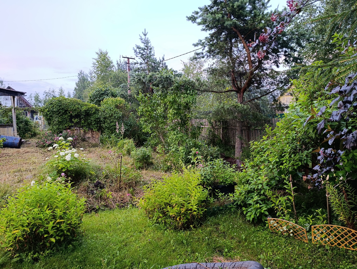 Газон заканчивается, начинается новый дневник