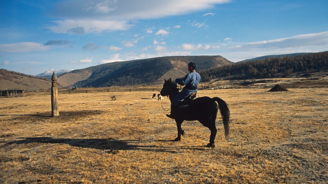    Фото: Russian Look/Globallookpress