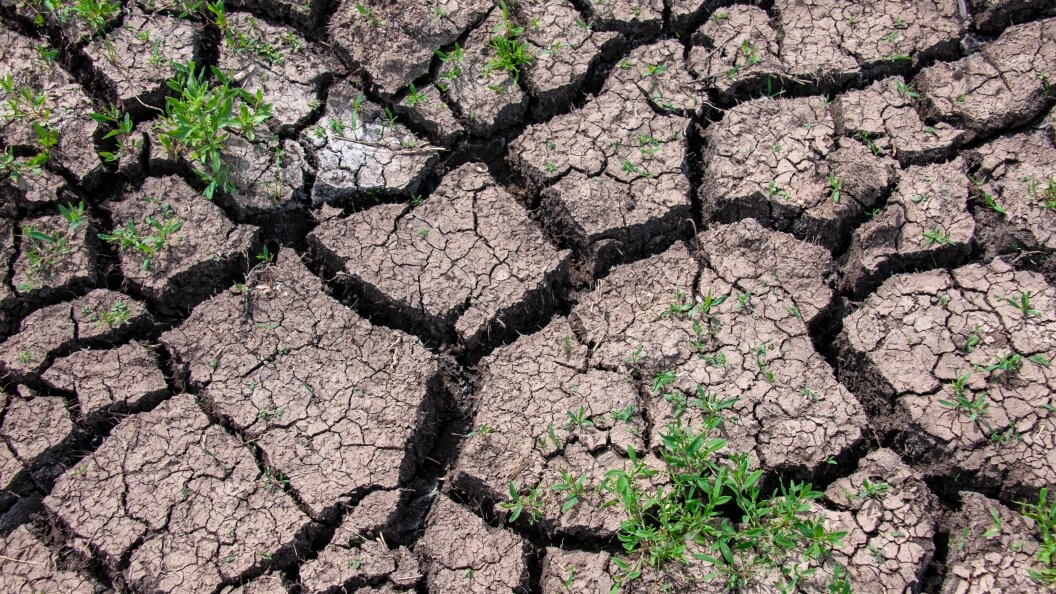    Svetlana Vozmilova/Globallookpress