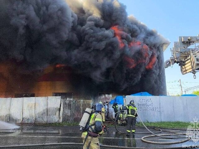   Фото: телеграм-канал "МЧС России"