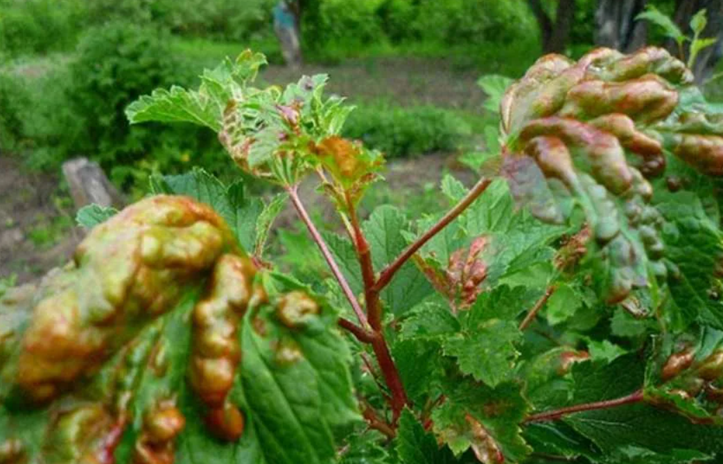 Ваши лайки помогают каналу развиваться👍👍👍👍👍👍👍