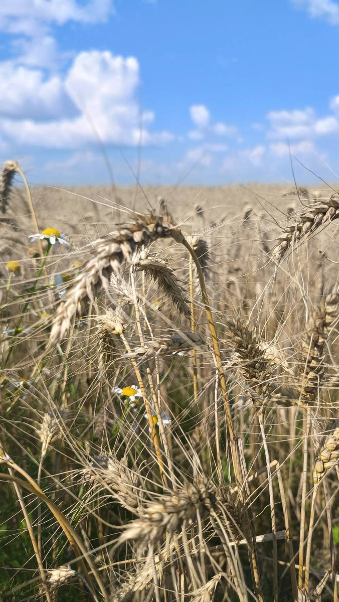 Фото из личного архива автора канала Во благо ❤️ 
