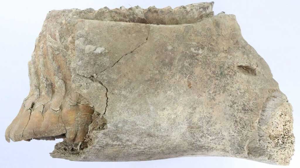    Фото: телеграм-канал главы Нижнего Новгорода Глеба Никитина