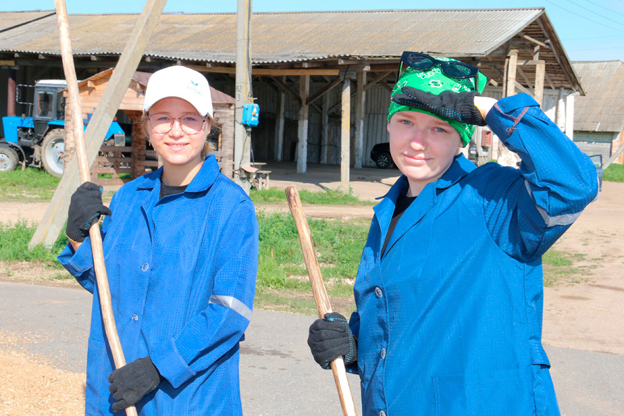     Трудовое лето: как организована вторичная занятость молодежи на Копыльщине