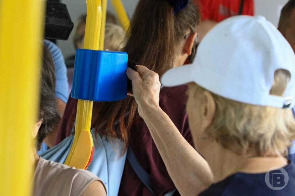    Фото: Дмитрий Рогулин/"Городские вести"