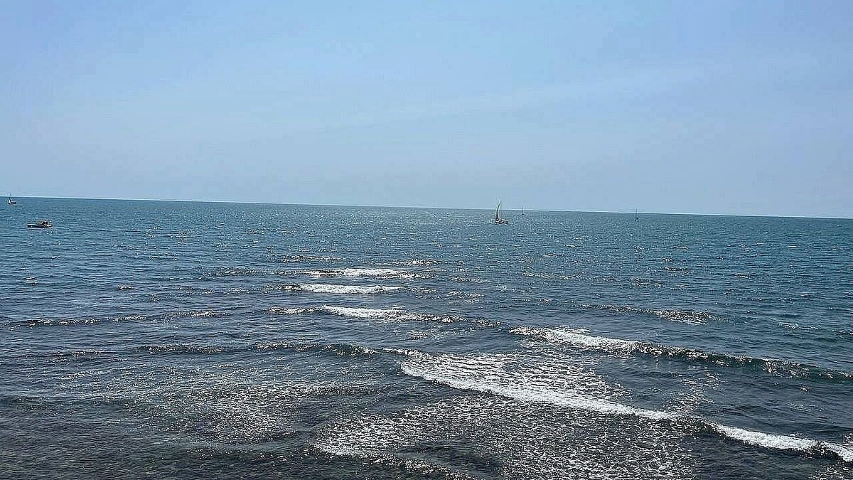    Фото: телеканал «Краснодар»