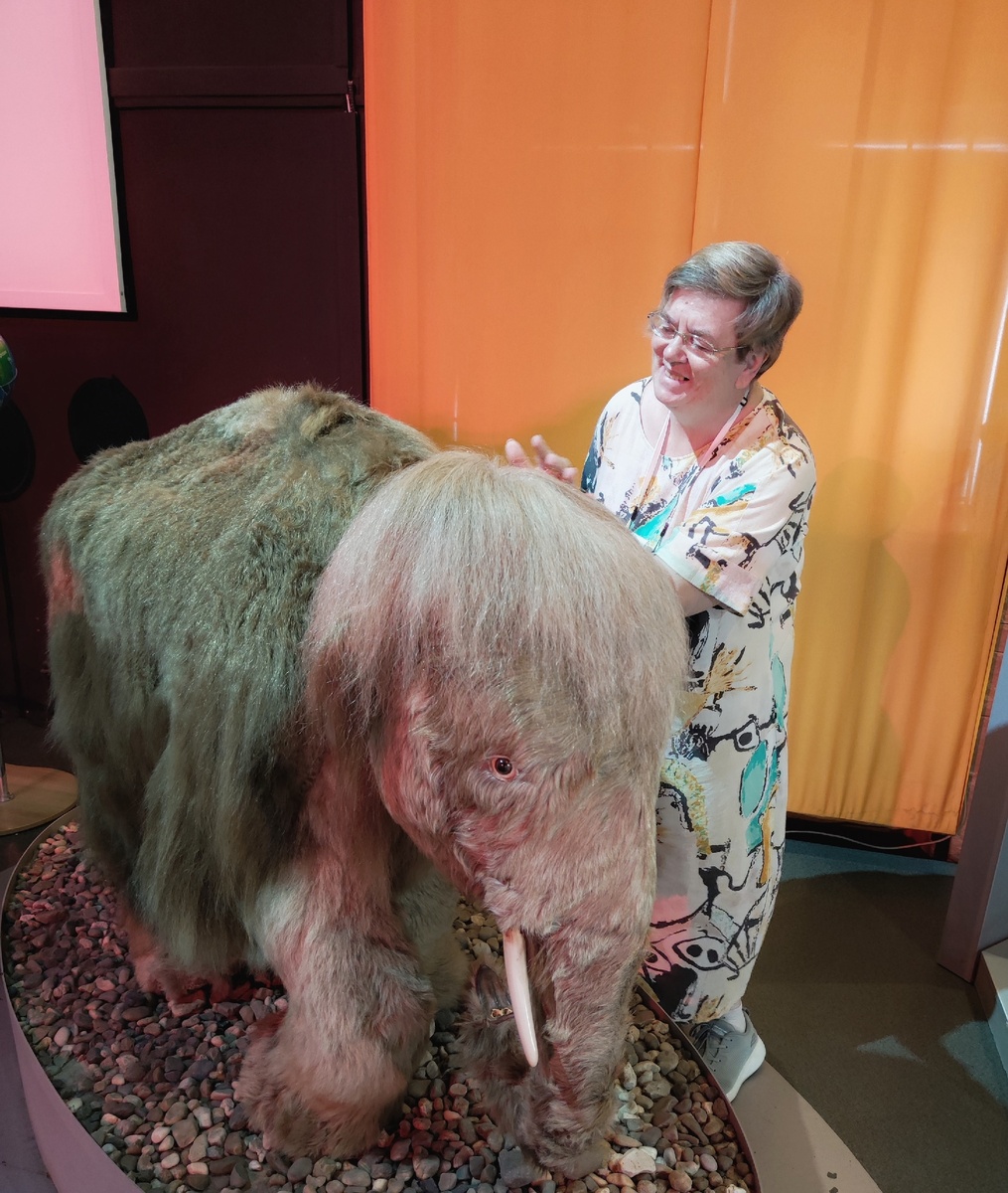 Реконструкция детёныша мамонта в Музее пермских древностей