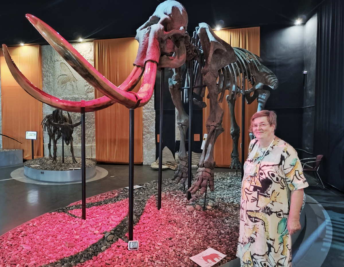 Скелет шерстистого мамонта