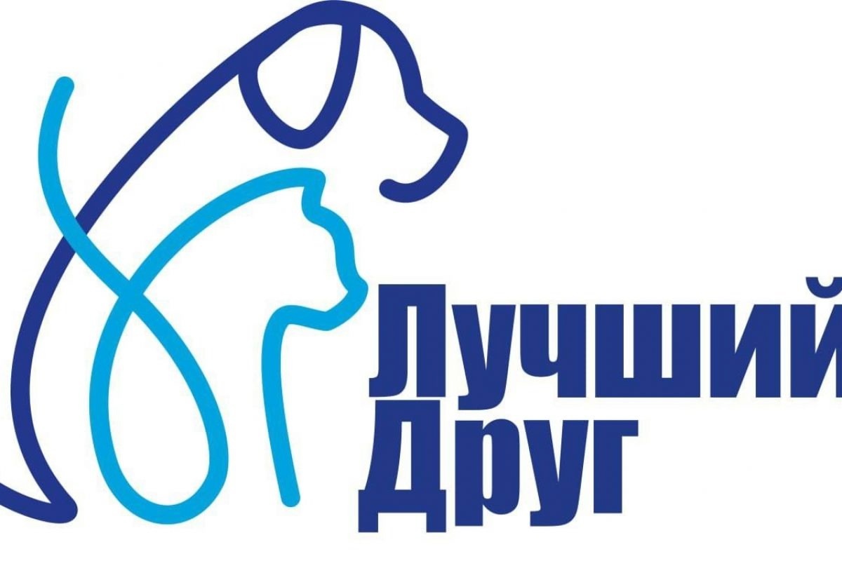    Фото: Единая Россия