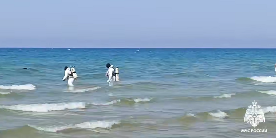 Источник: Скрин видео МЧС России