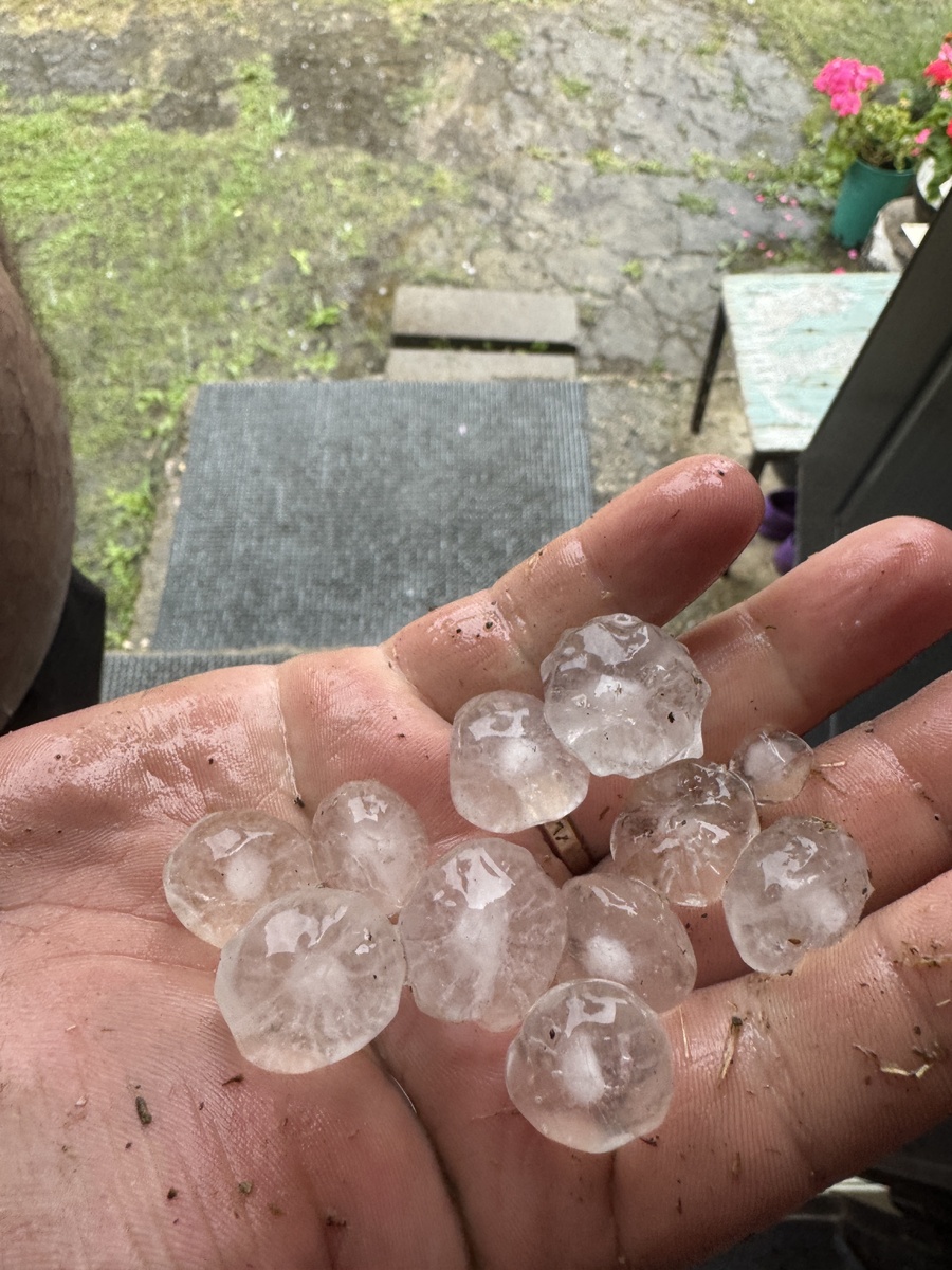 Фото: Алина Алексеева