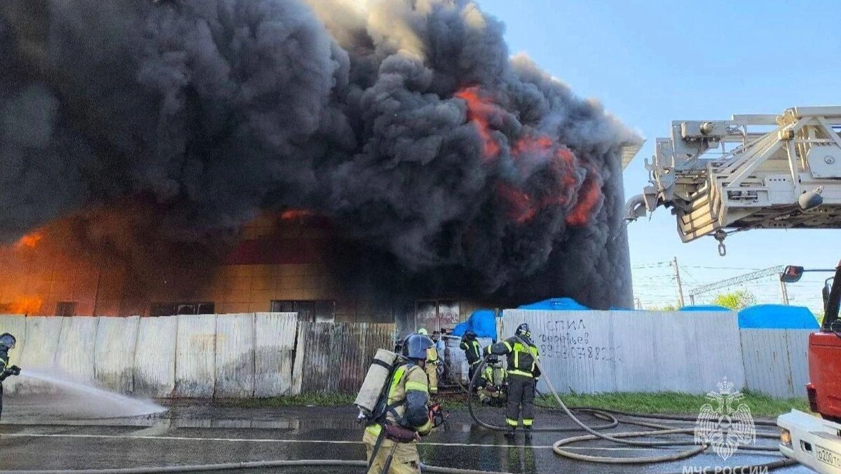    Фото: t.me/mchs_official