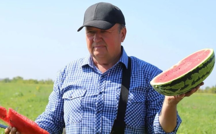    Фото: Минсельхоз Оренбургской области