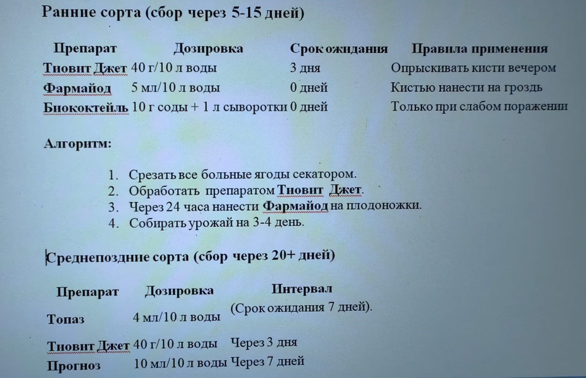 Фото и таблица Натальи Мироновой 