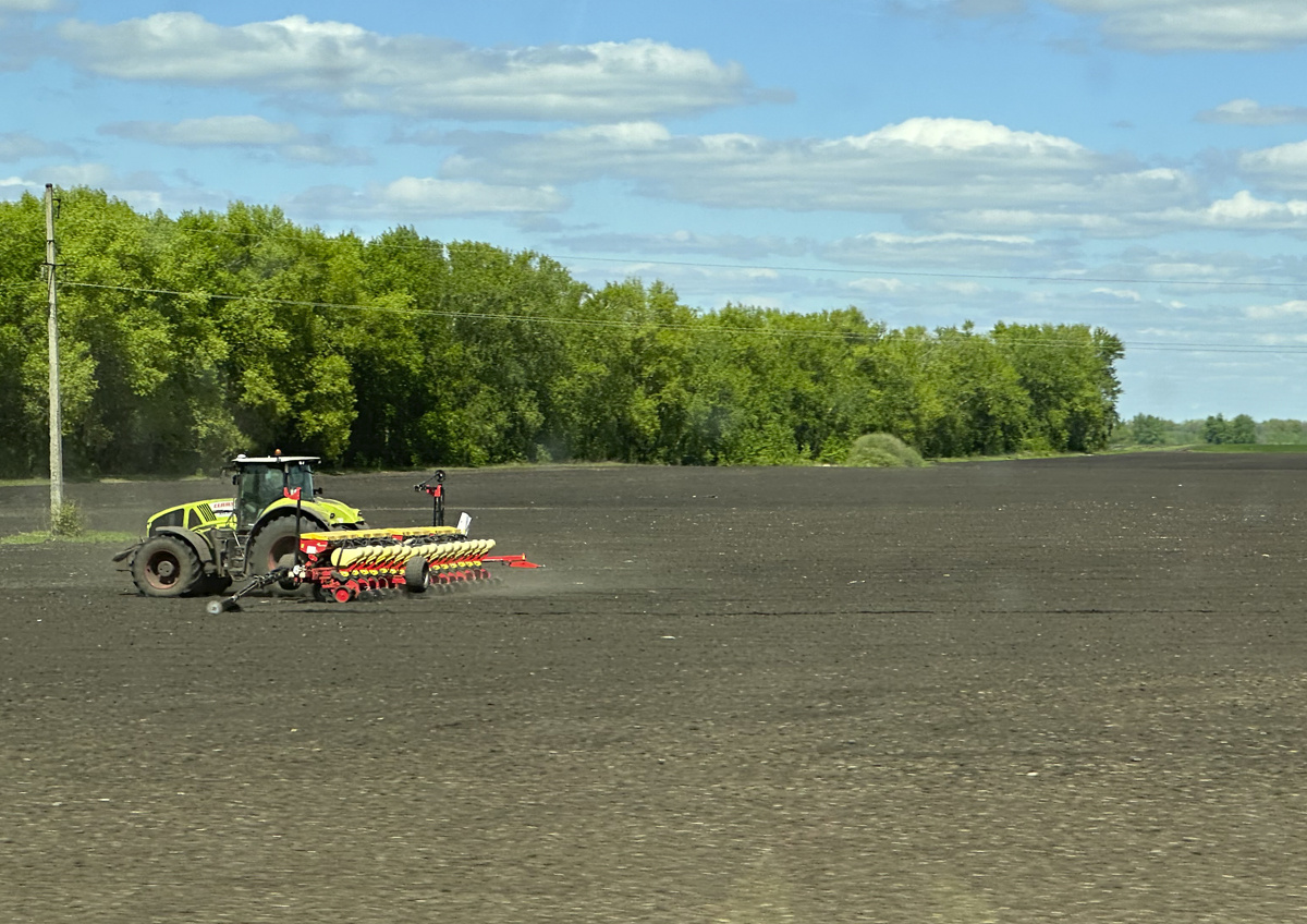 Фото © «Московская газета»
