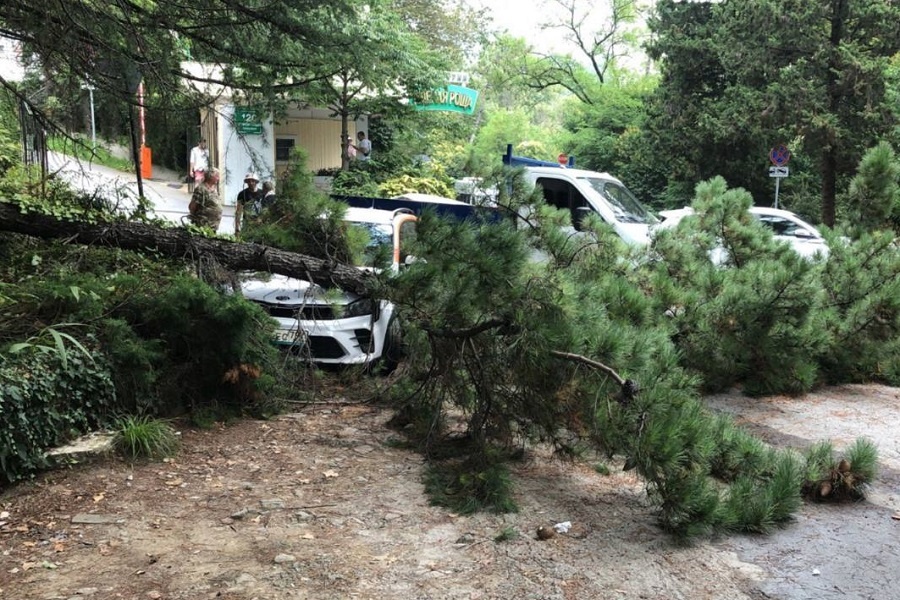 Фото: t.me/spasenie_sochi