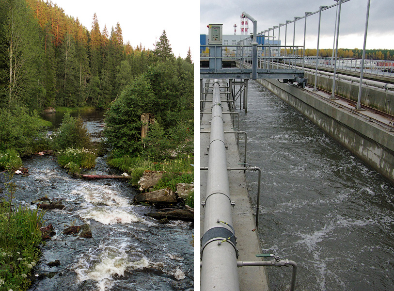 Природа vs городские очистные сооружения