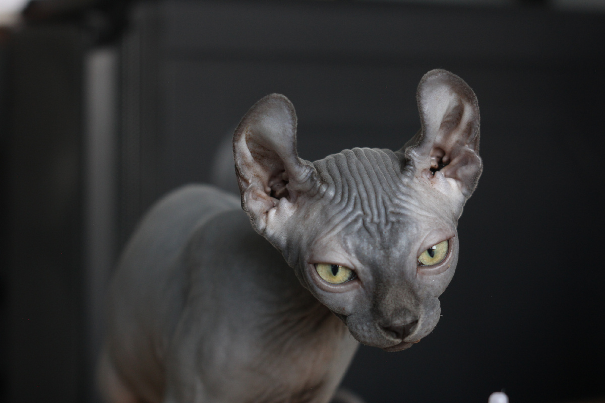 С недоверием смотрит на будущие процедуры