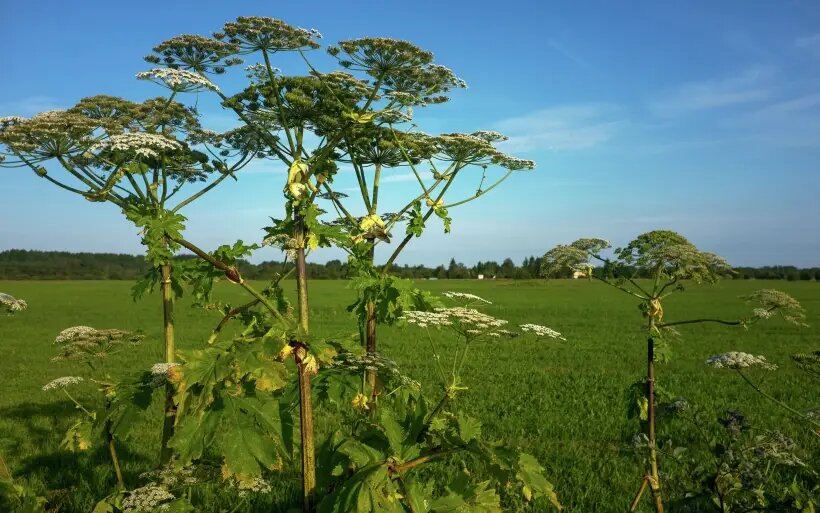     © РИА Новости. Алексей Даничев
