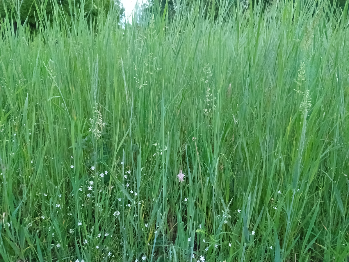 картинка для привлечения внимания