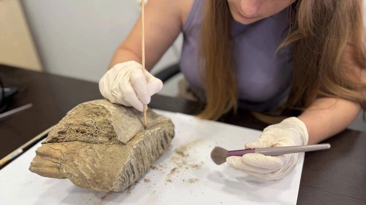    Фото: t.me/glebnikitin_nn