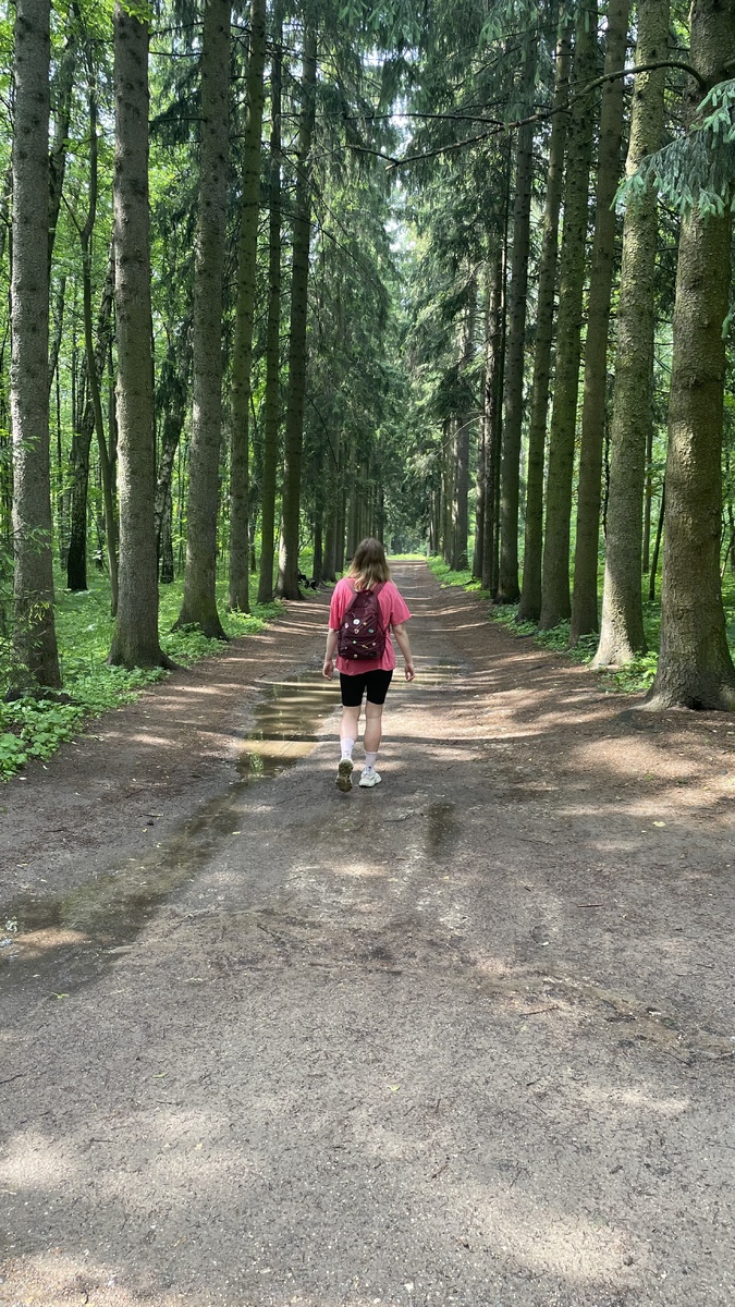 Бирюлевский дендропарк 