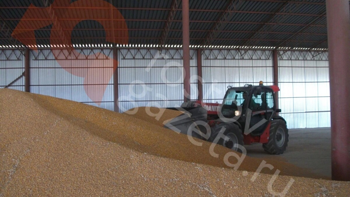     Источник: rostovgazeta.ru