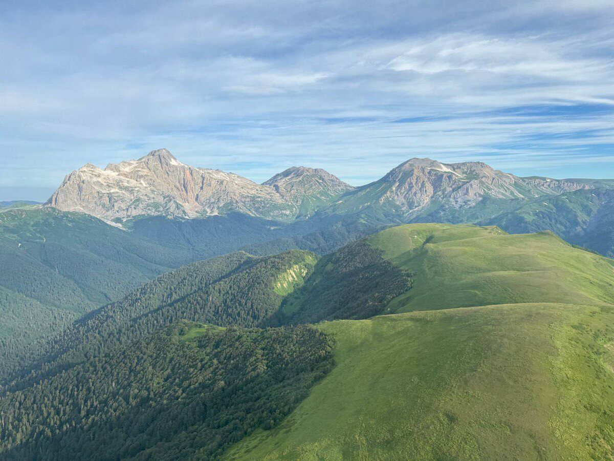    Фото: пресс-служба Кавказского заповедника