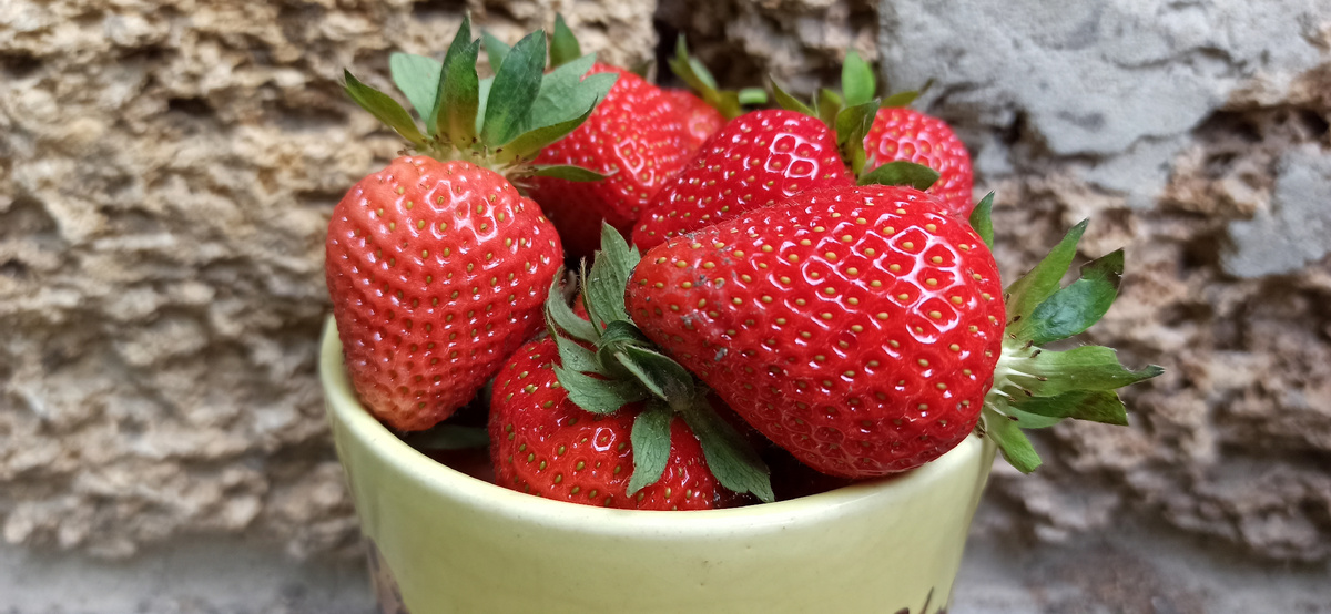 Урожай свежесобранной ягоды