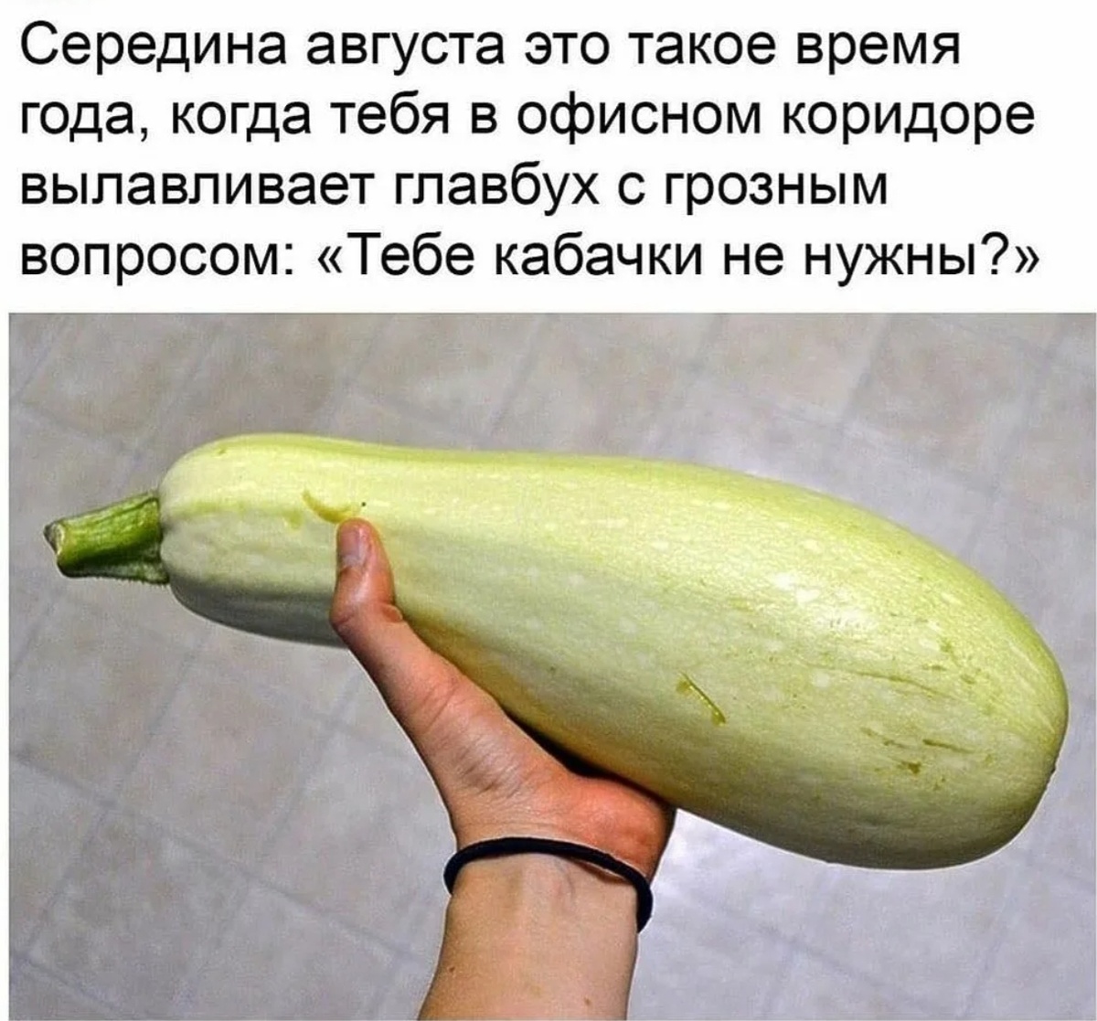 Фото с сайта https://chel.mk.ru/social/2022/09/03/chelyabinka-rasskazala-prostoy-recept-iz-kabachkov.html