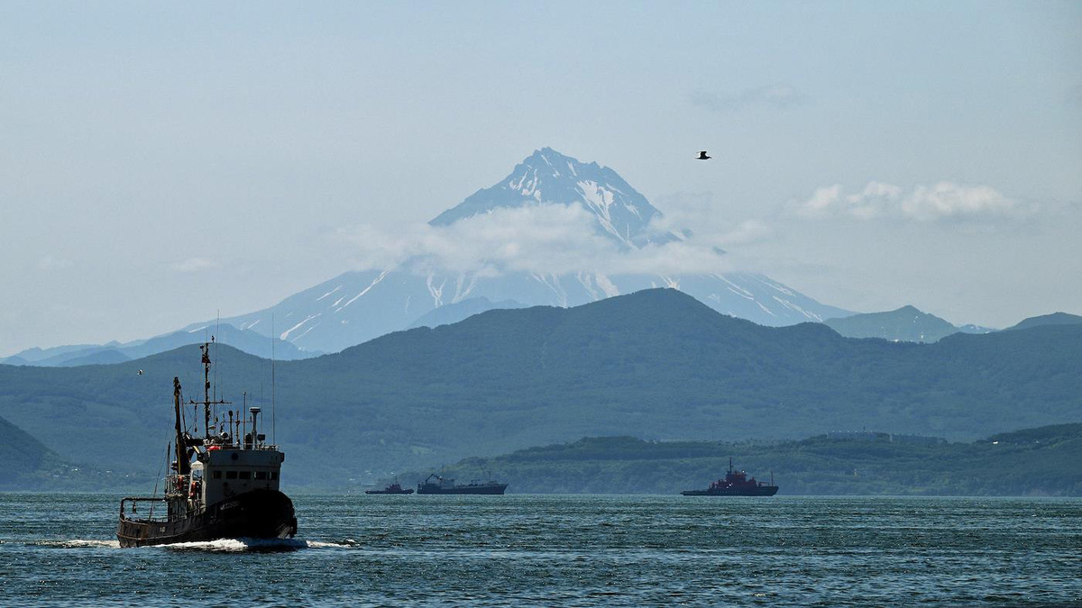 Вид на Авачинскую бухту, Петропавловск-Камчатский