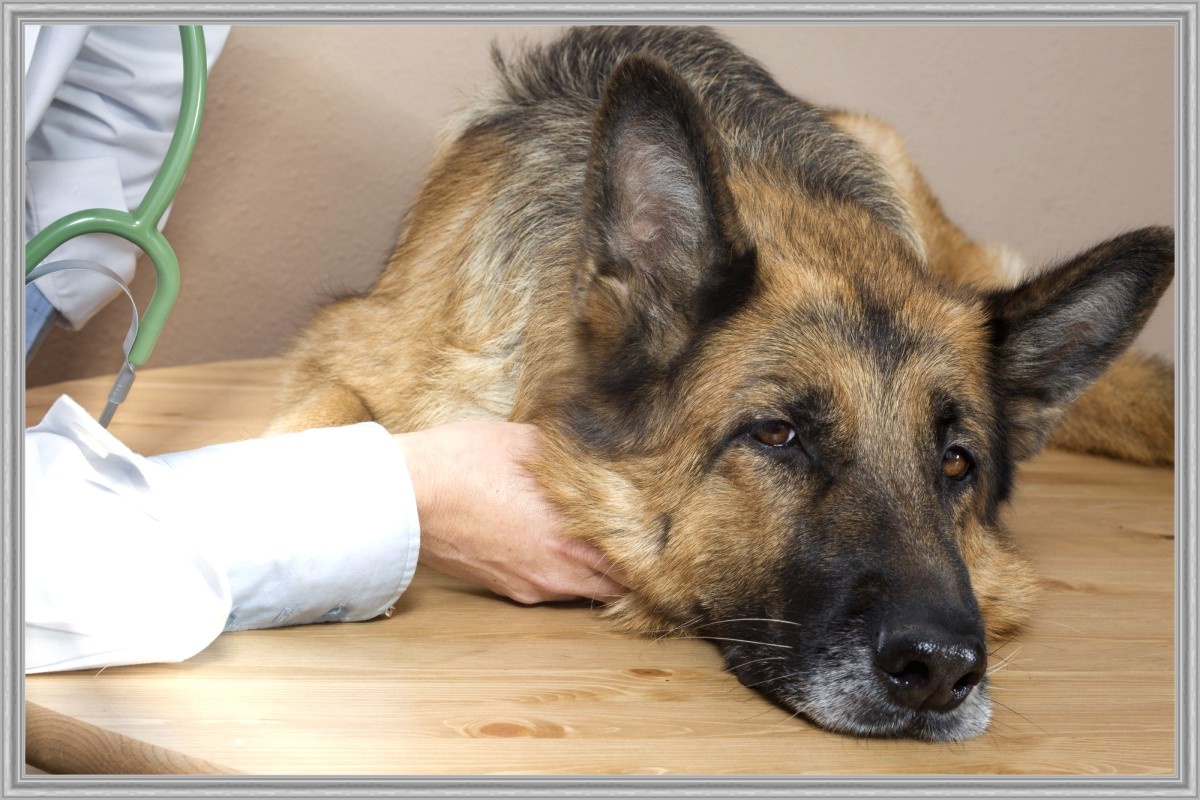 Итак, ближе к делу.
