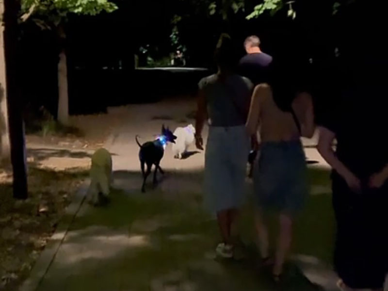 Фото: читатель "Блокнот Краснодар"