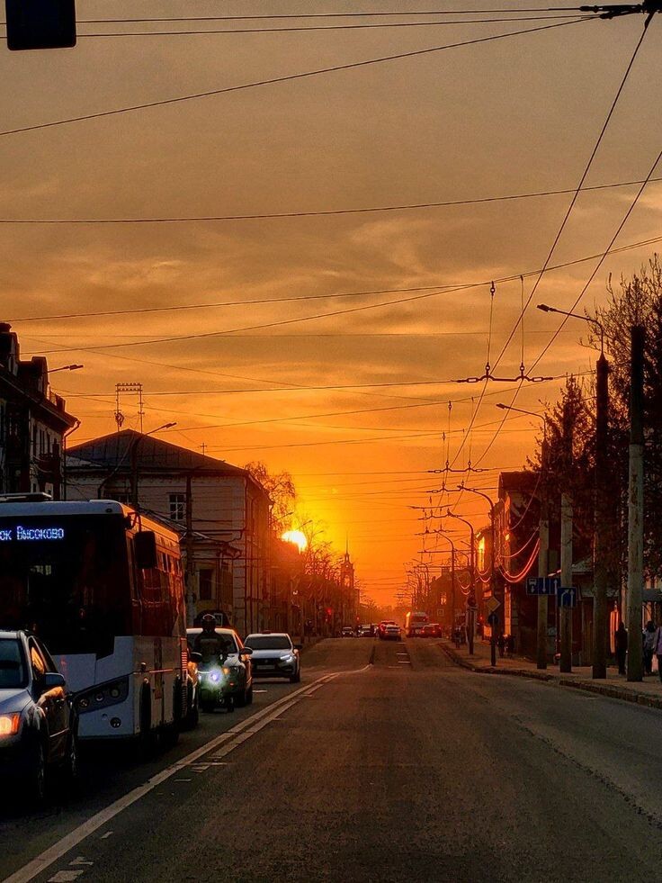 Август в городе